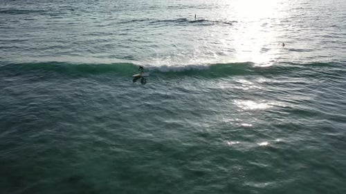 A paddleboarder surfs a wave on a on sup board in the ocean in the waters of Reunion Island