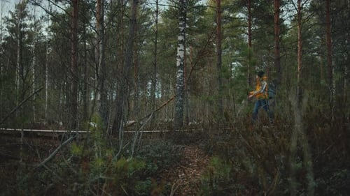 Espiando a mujeres jóvenes en el bosque mientras hace senderismo en la naturaleza