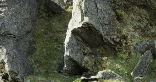 Large Rocky Formations in a Natural Landscape with Lush Greenery