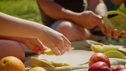 Un père et une fille profitent d'un pique-nique, un enfant cherche des tranches de fruits dans une assiette, papa prépare des fruits frais