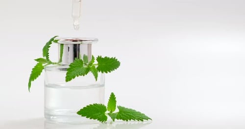 Gotas caindo da pipeta cosmética para o frasco de vidro com óleo essencial com folha de hortelã