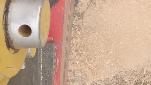 Excavator trimming head chops down a tree in the forrest