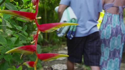Couple Walking Down Path in Tropical Jungle, Costa Rica American
