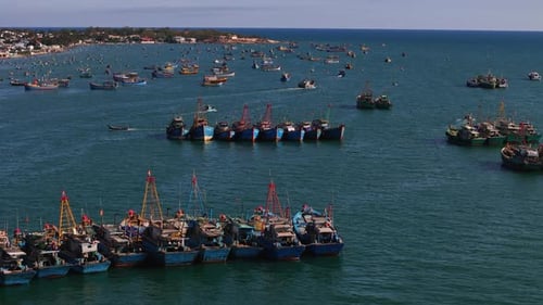 Vietnam Fishing Industry