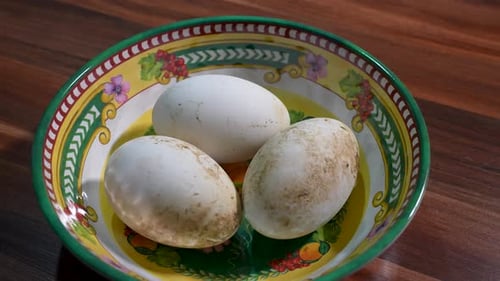 Three White Dirty Eggs in a Decorative Floral Bowl