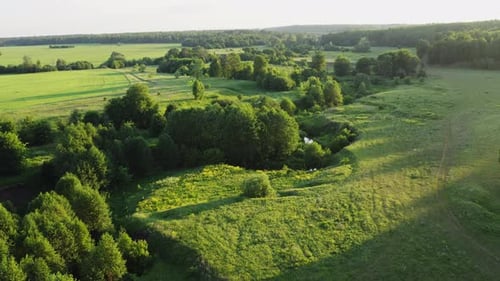 Aerial view of the green valley with river and trees around it