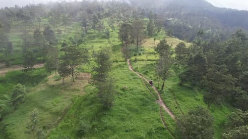 Lush Green Mountain Landscape with Winding Dirt Road