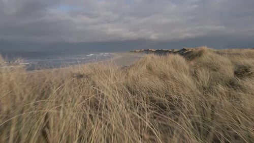 Flying over dune grass to open wild beach with ocean waves hitting coast