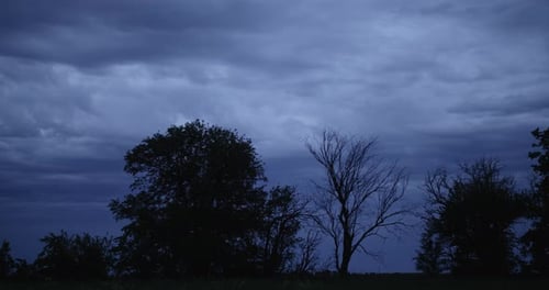 Silhouette of trees in front of blue sky and rain clouds in the evening on a farm.