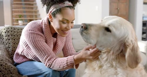 Woman Pets Golden Retriever Lovingly at Home