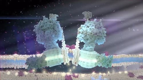 Detailed 3D illustration of protein structures on cell membrane