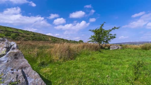 Zeitraffer einer ländlichen Landschaft mit einem einzigen Baum auf felsigem Grasland und an einem sonnigen Frühlingstag in