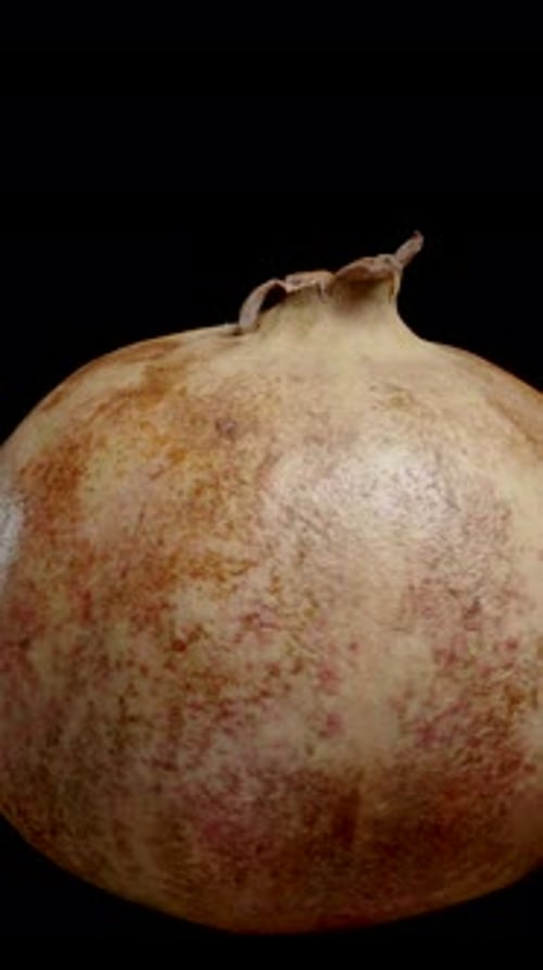 Vertical video. Pomegranate with White Seeds, isolated, looped video.
