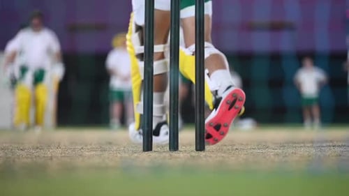 Cricket players have evening net practice sessions on a cricket ground in the United Arab Emirates