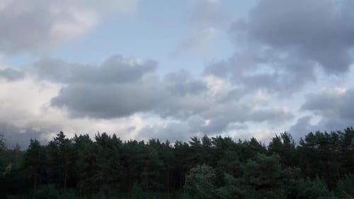 A time lapse forest in Estonia, the wind is blowing and the clouds move fast