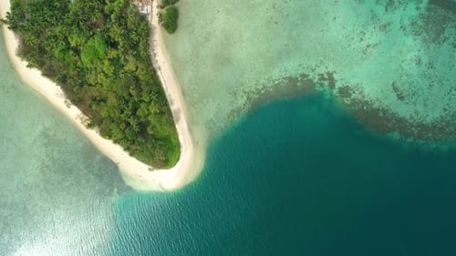 Aerial View of a Tropical Island with Palm Trees and White Sand Beaches Amazing Tropical Island in