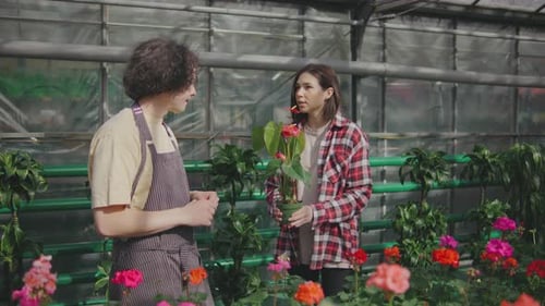Greenhouse Staff Helping Customer with Plant Selection