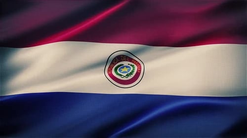 Waving Flag of Paraguay with Realistic Fabric Texture