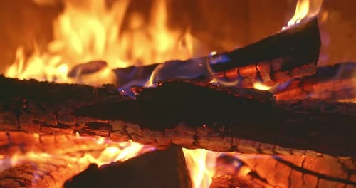 Closeup Flames of Fire on a Charred Log