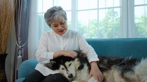 Senior Woman Petting Dog on Sofa in Living Room