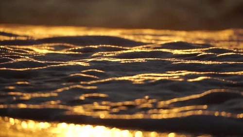 Small Sea Wave Blurred Soft Foamy Waves Washing Golden Sandy Beach on Sunset Ocean Waves On Sandy