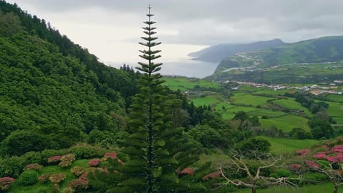 Aerial Greenery Hills Gloomy Sea at Summer Ocean Water Washing Shoreline Slopes