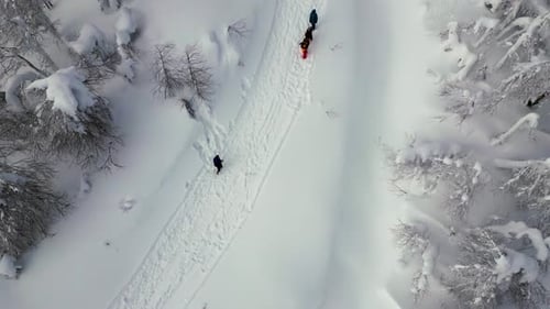 Aerial top down view of people walking in winter forest. Concept of hiking