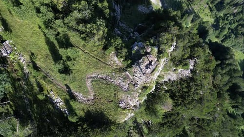 moving closer falling down drone view to a mountain filled with flaura trees and stones coming out h