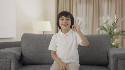 Smiling Boy Gesturing OK Hand Sign on Sofa