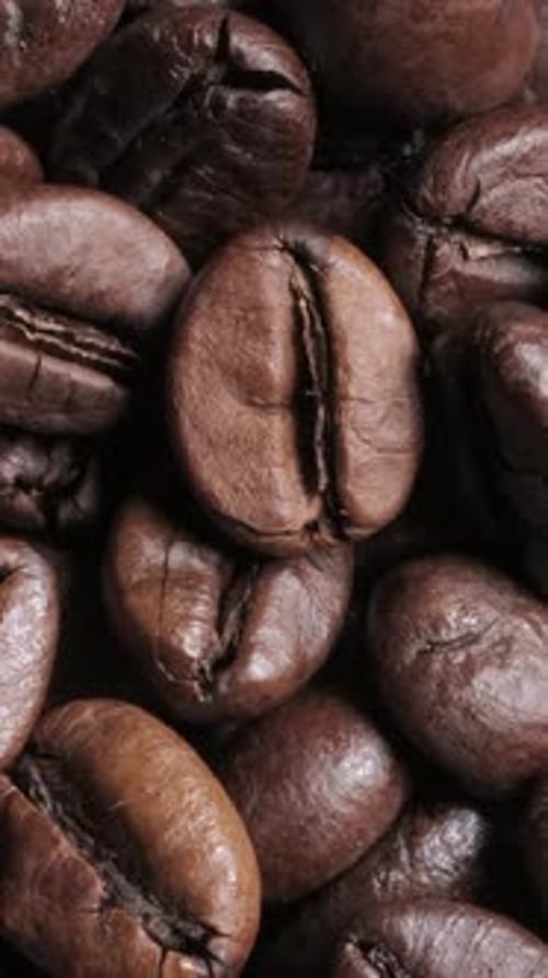 Close Up of Roasted Coffee Beans