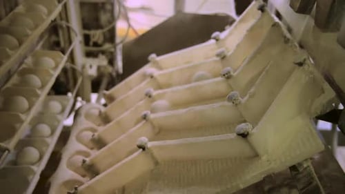 Balls of dough in a production line of industrial automated bread factory