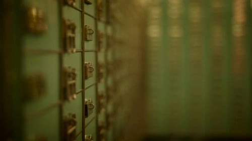 Row of Dark Hardwood Lockers with Gold Handles Set in Dimly Lit Room