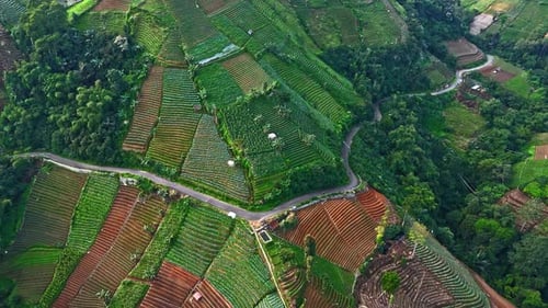 Aerial view of hills layered with winding roads in hill valleys and vegetable plantations