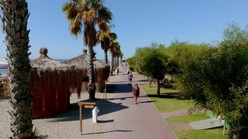 Luxurious Beach Resort with Swimming Pool and Beach Chairs and Palm Trees