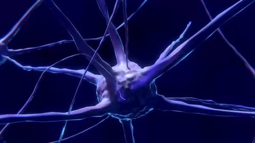 3D Concept of Interconnected Nerve Cells from Eye
