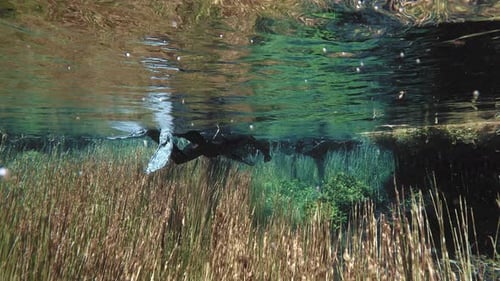 Plongée avec tuba en apnée à la surface de l'eau, exploration des algues au fond