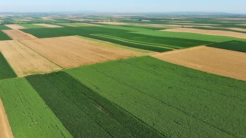 Aerial View of Agriculture Fields