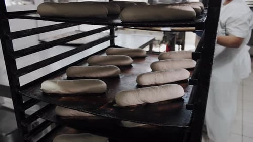 Raw Bread Dough Loaves on Bakery Rack Shelves