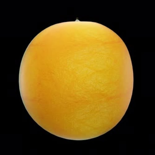 Rotating 3D Orange - Seamless Endless Loop in 4K