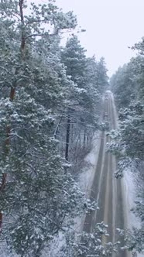 Snowcovered Road Winding Through a Winter Forest in Serene Rural Landscape