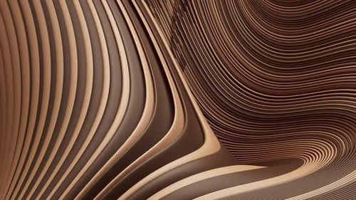 Une animation 3D de lignes bicolores formant un ornement qui remplit l'écran.