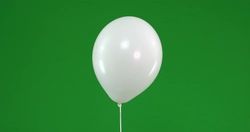 Green screen of white Balloons that rise
