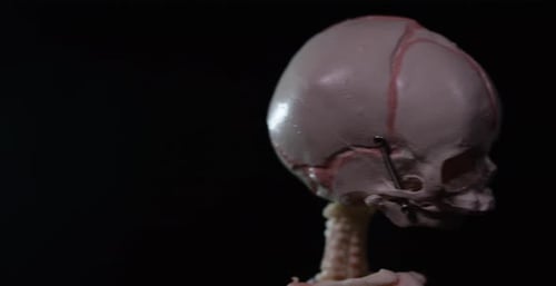 Wissenschaftliche Ansicht des menschlichen fetalen Skeletts auf schwarzem Hintergrund