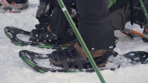Video of Snowshoers Fastening Snowshoe Straps Active