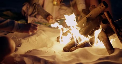 Friends Roasting Marshmallows by Campfire on Beach at Night