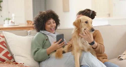 Casal diversificado no sofá estendendo o smartphone para uma selfie enquanto um cachorro agarrando uma bola de tênis provoca risadas
