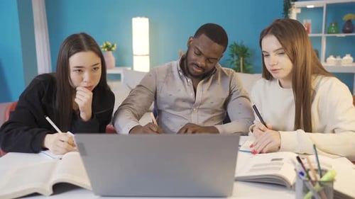 Young Adults Study Together Using Laptop