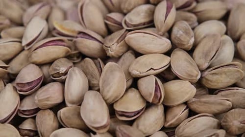 pistachios circle