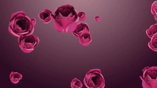 Floating Pink Roses on Purple Background