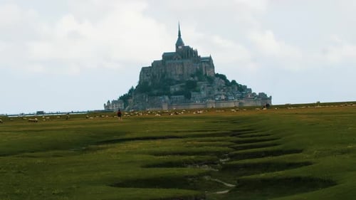 Epic view on Mont Saint Michel in France. Tourist and sheep in Front of beautiful castle with green